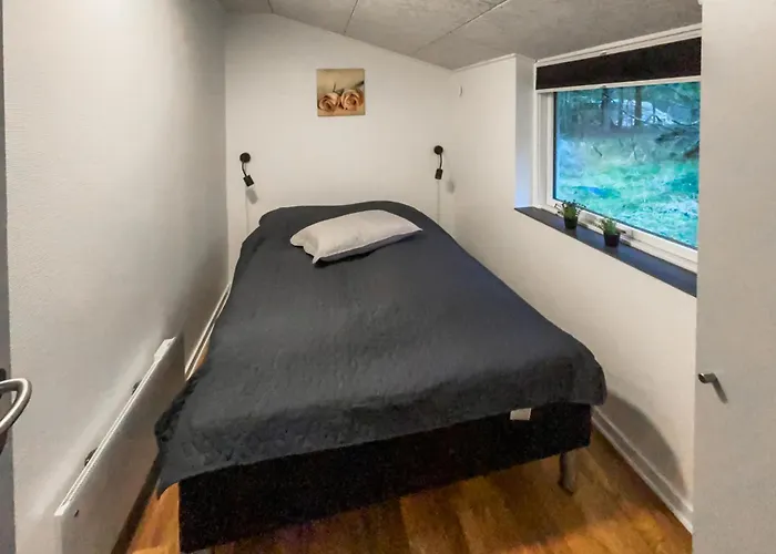 Pet Friendly In With Wifi *